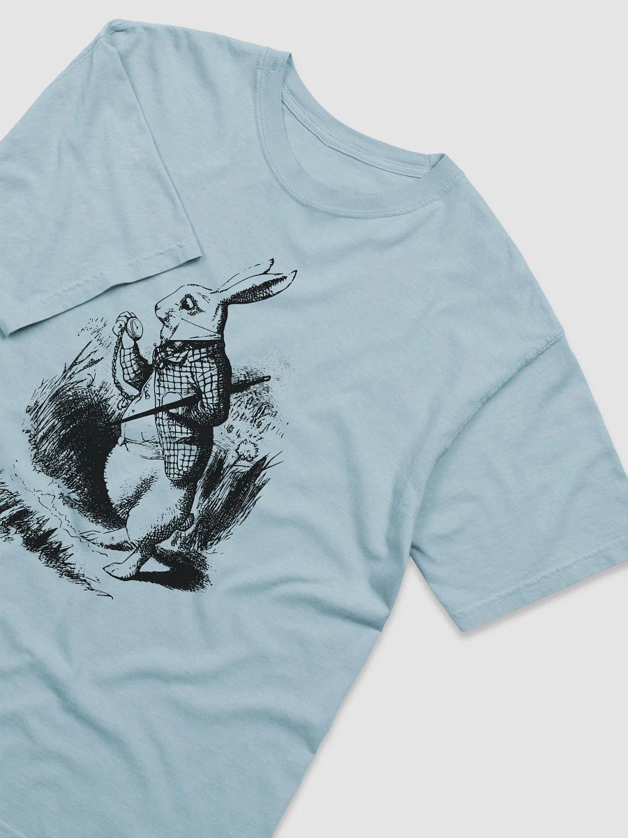 Mad March Hare's : Garment-Dyed T-Shirt product image (3)