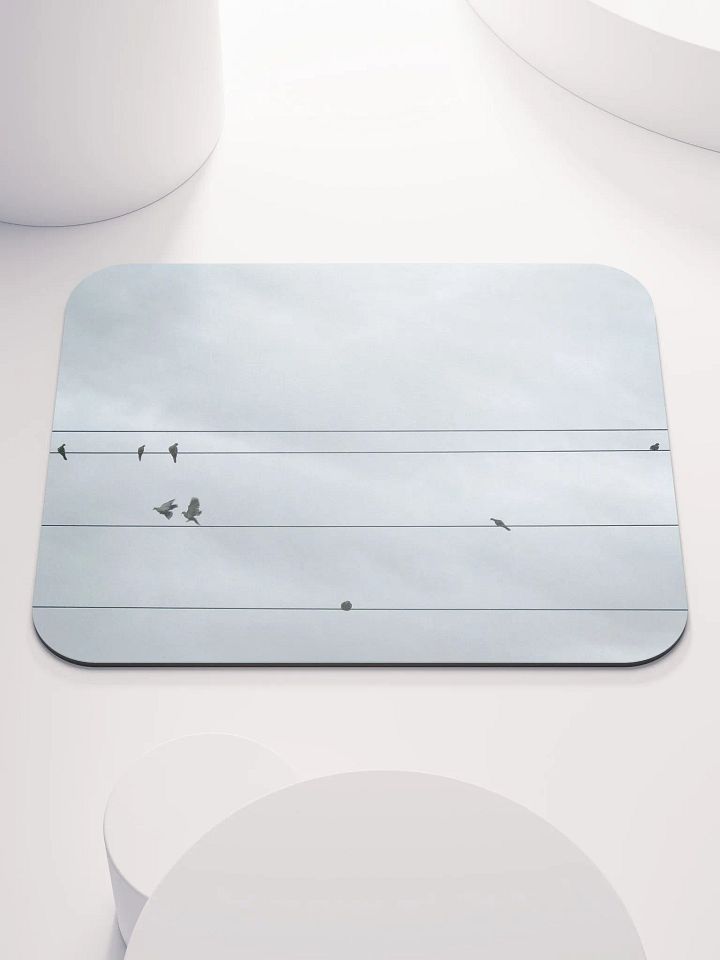 Bird Power product image (1)