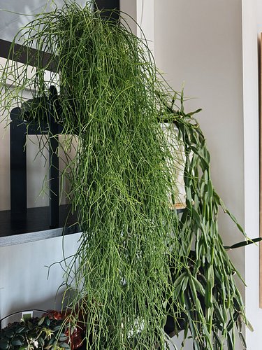 I was doing video work at a wedding this weekend and in the bathroom a little girl walks in, looks me up and down and says

“...