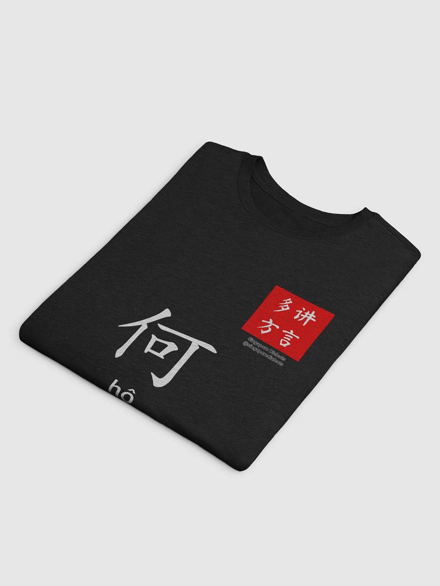 何 Ho (Hokkien) Surname T-Shirt (Dark) product image (4)