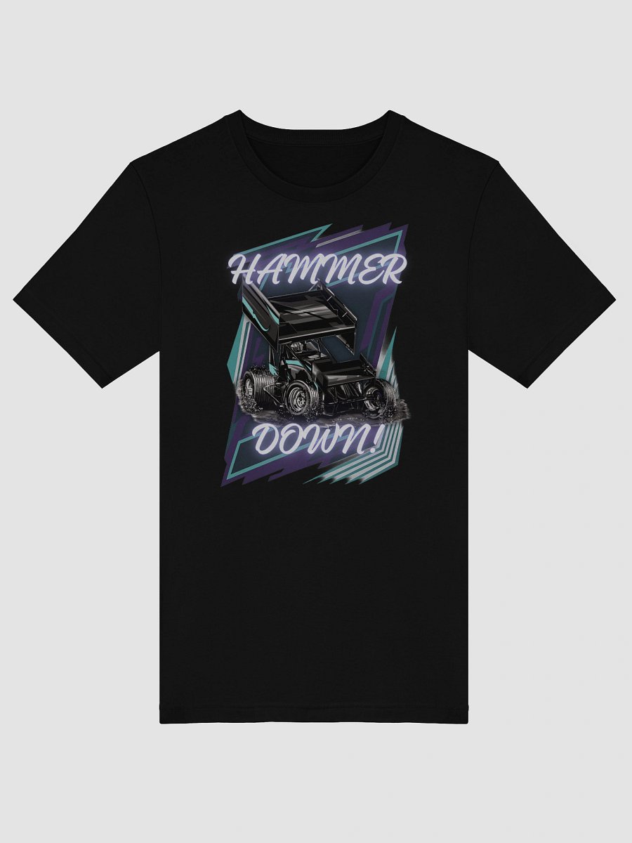 Hammer Down Sprint Car! product image (52)