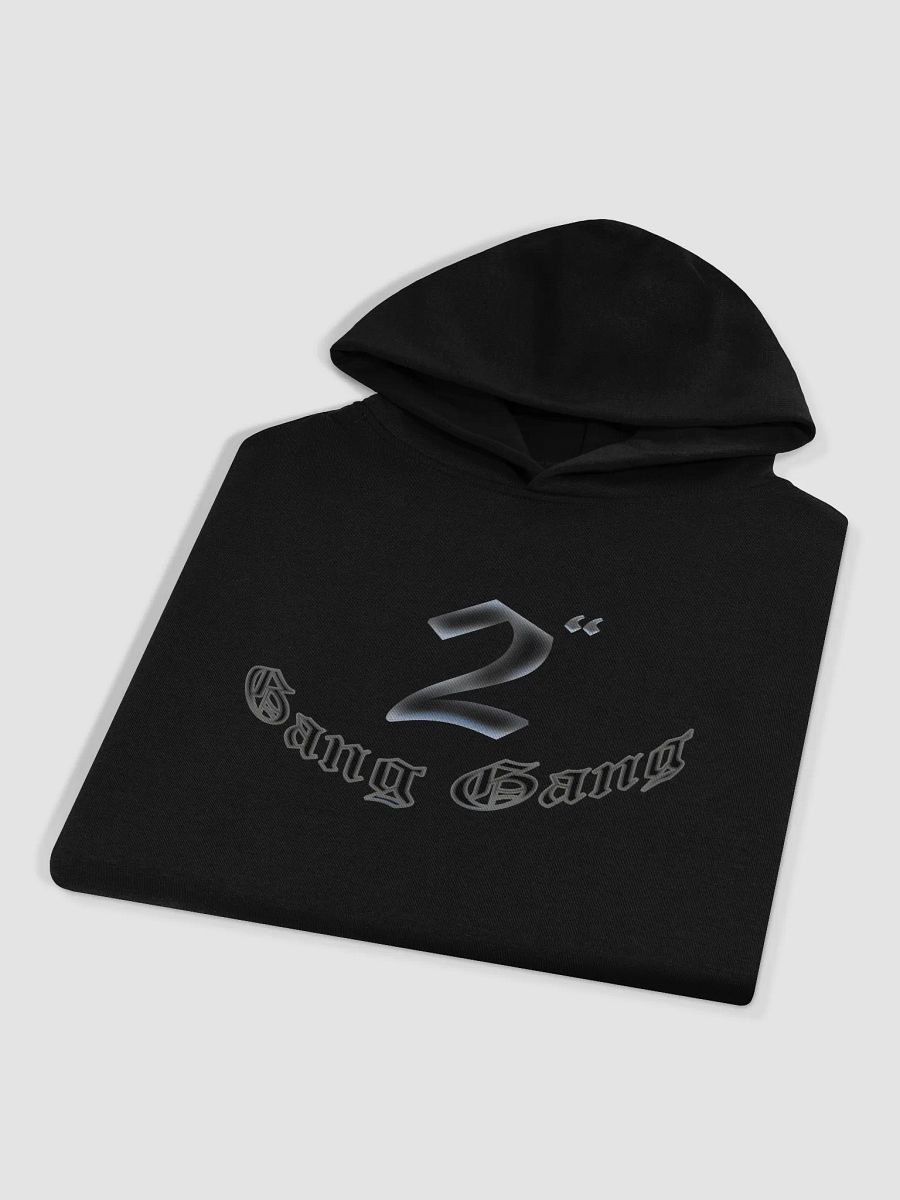 2in Hoodie product image (10)