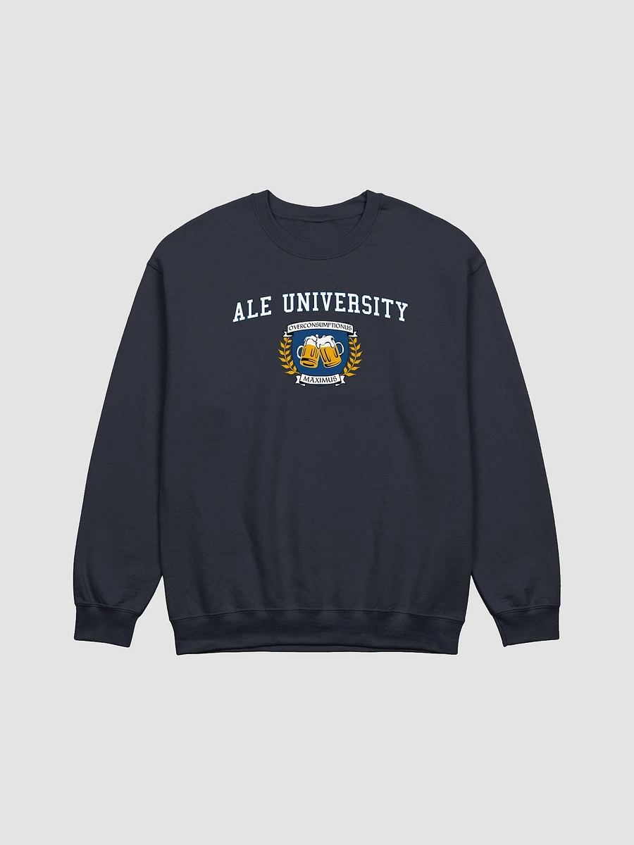 Ale University Sweatshirt product image (9)