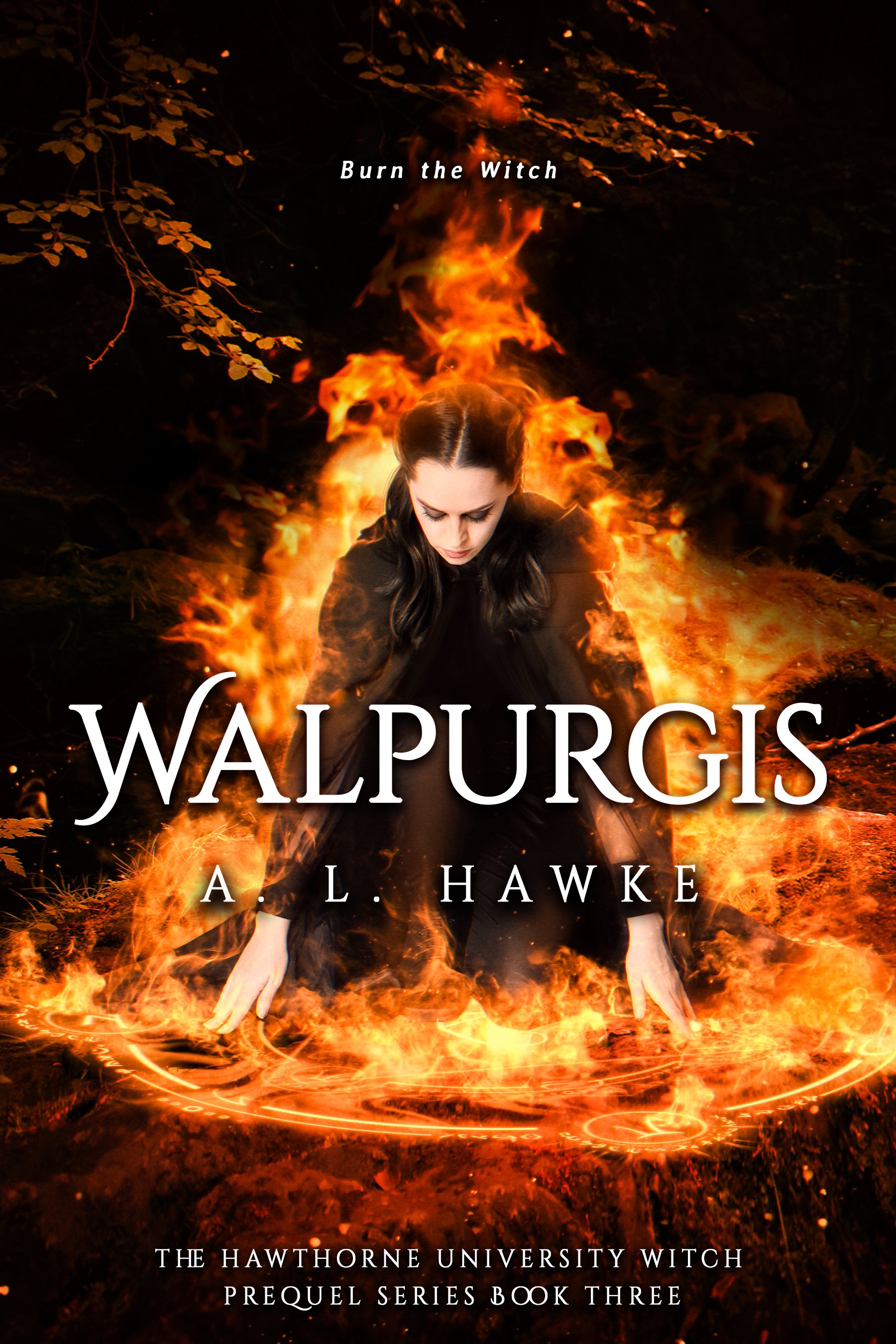 Walpurgis (The Hawthorne University Witch Prequel Series, Book 3) product image (1)