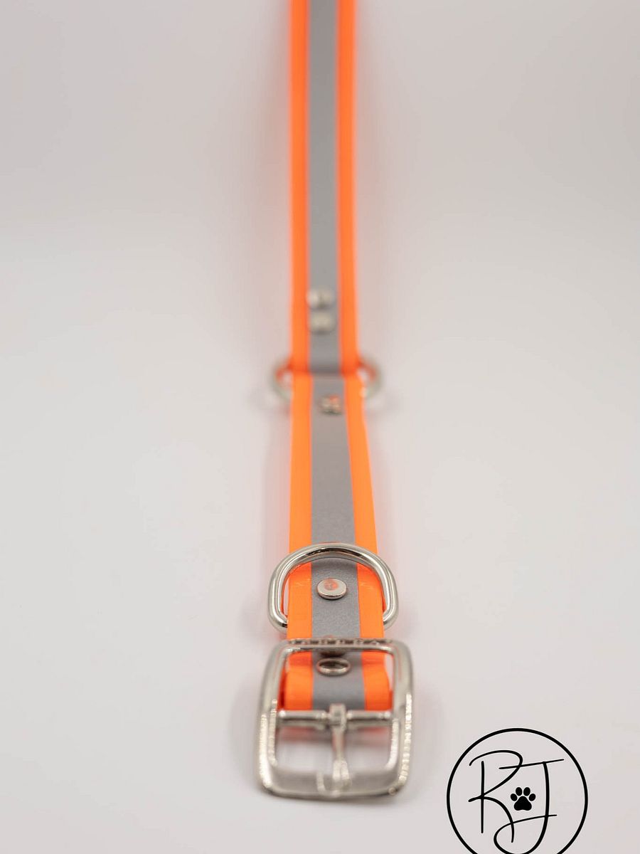 Waterproof Reflective Safety Dog Collar Bright Colors product image (6)