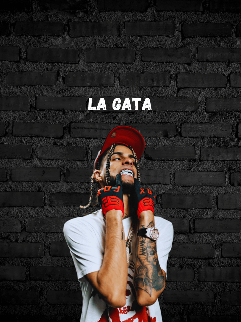 Type Beat Sound Yovngchimi - La Gata MP3 SESSION #7 - FREE product image (1)