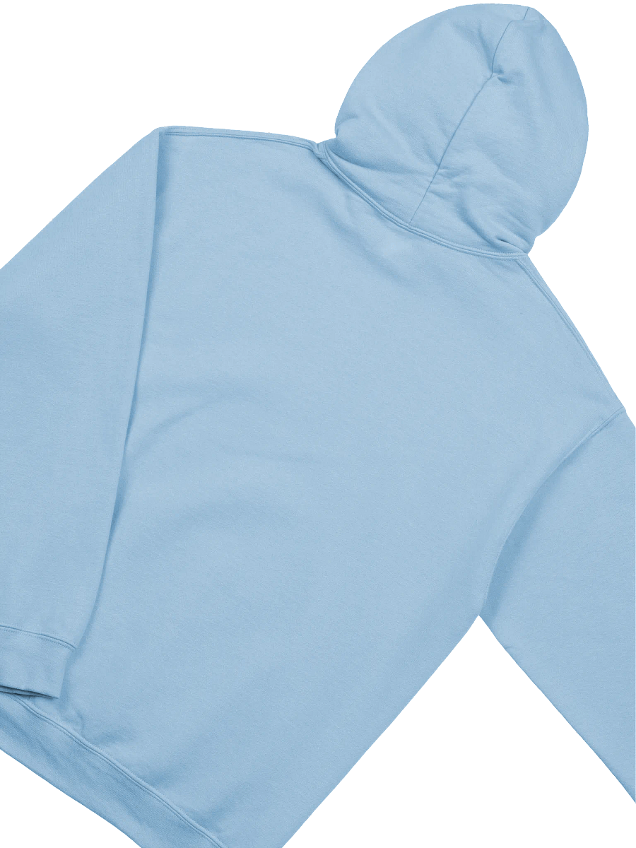 "Friendship" BIG FLOPPA x CAPYBARA HOODIE product image (3)