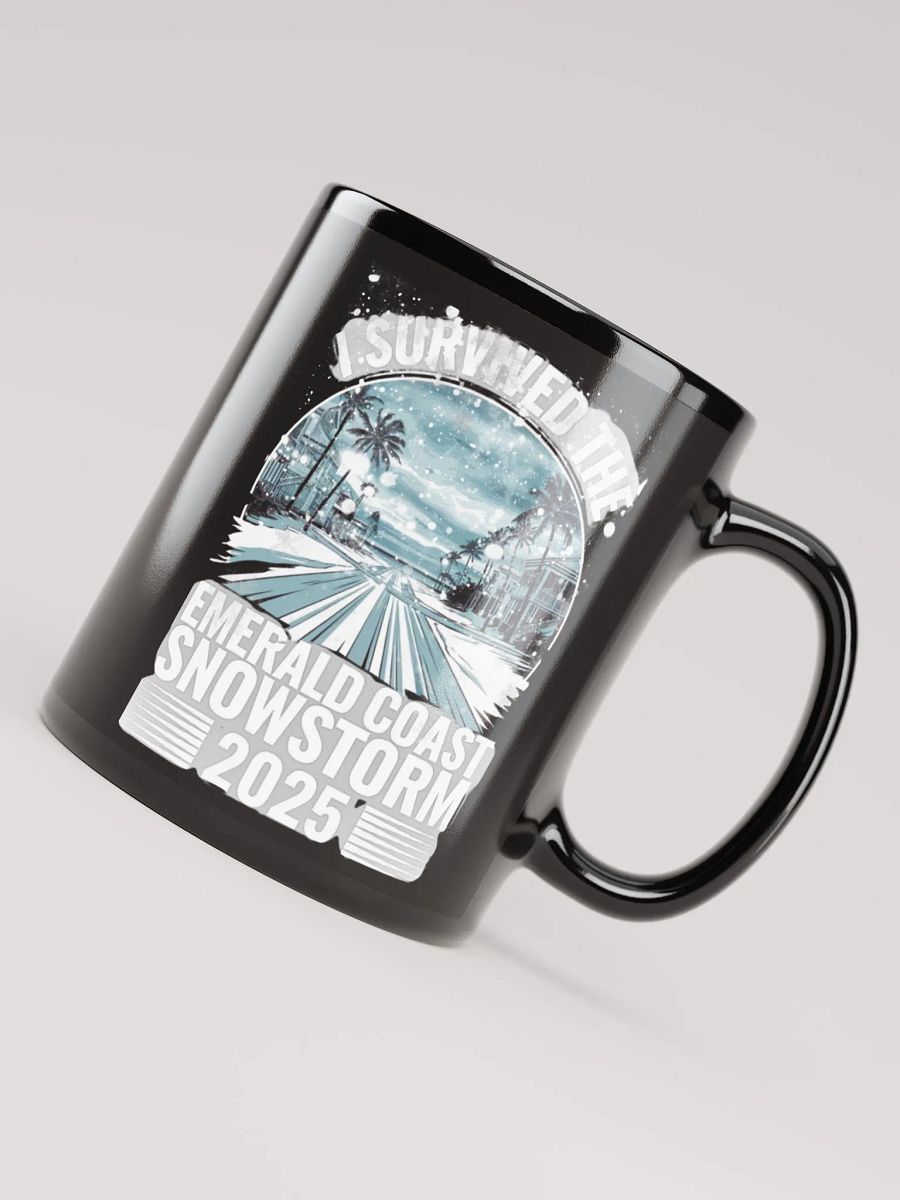 I survived the Emerald Coast Snowstorm 2025 Mug product image (8)