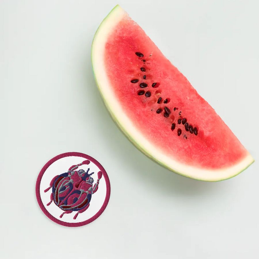 Pink Ladybug Embroidered Patch product image (12)