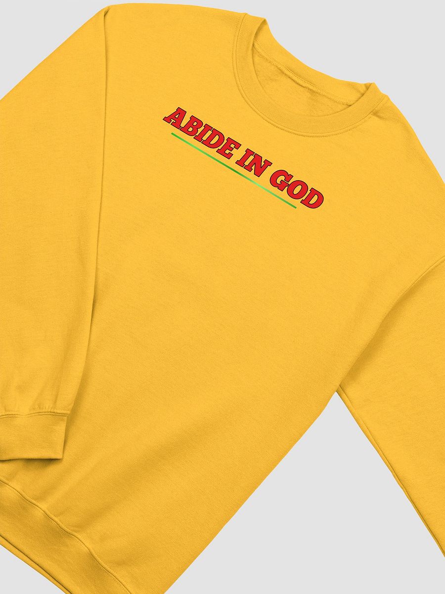 Abide in GOD product image (14)