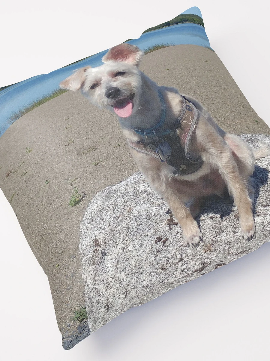 Mozzie At The Lake Throw Pillow product image (3)