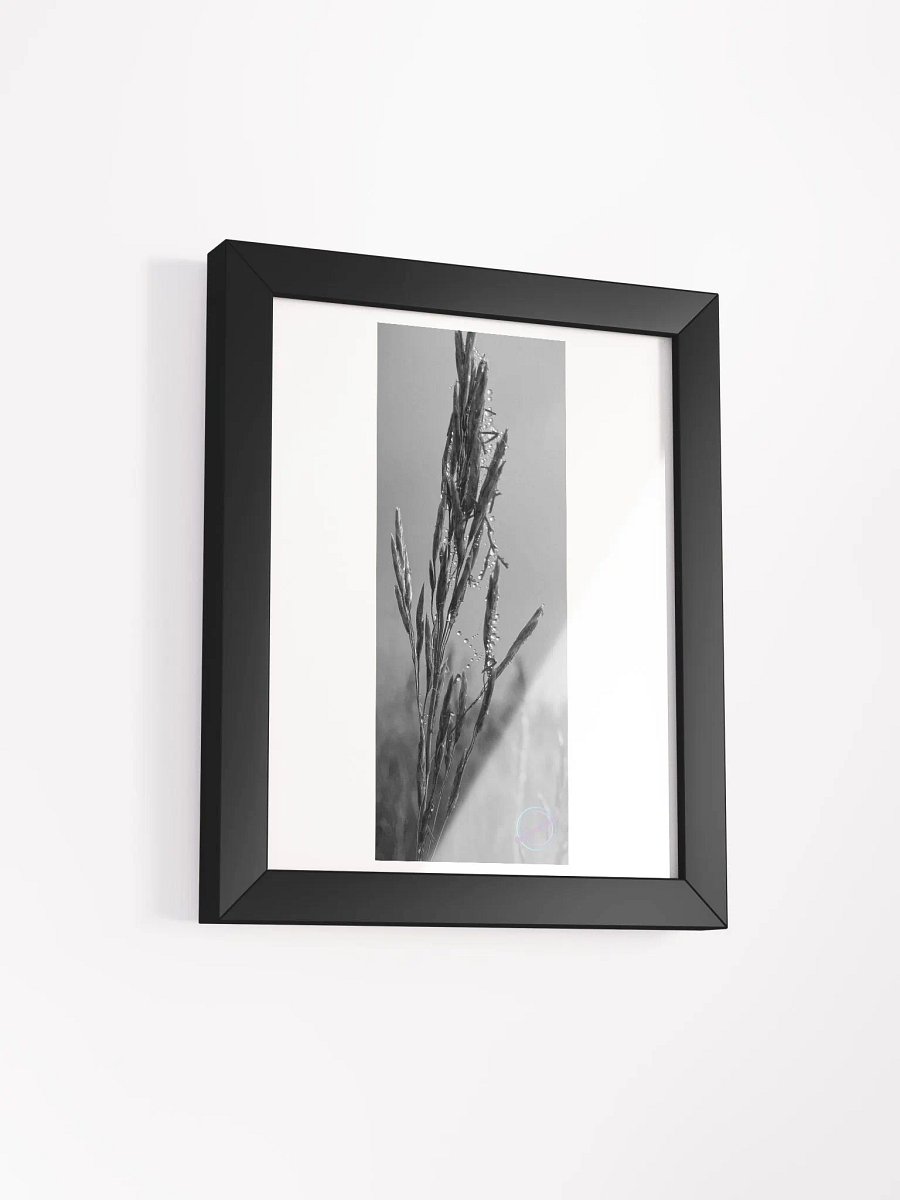 Dewy web product image (3)