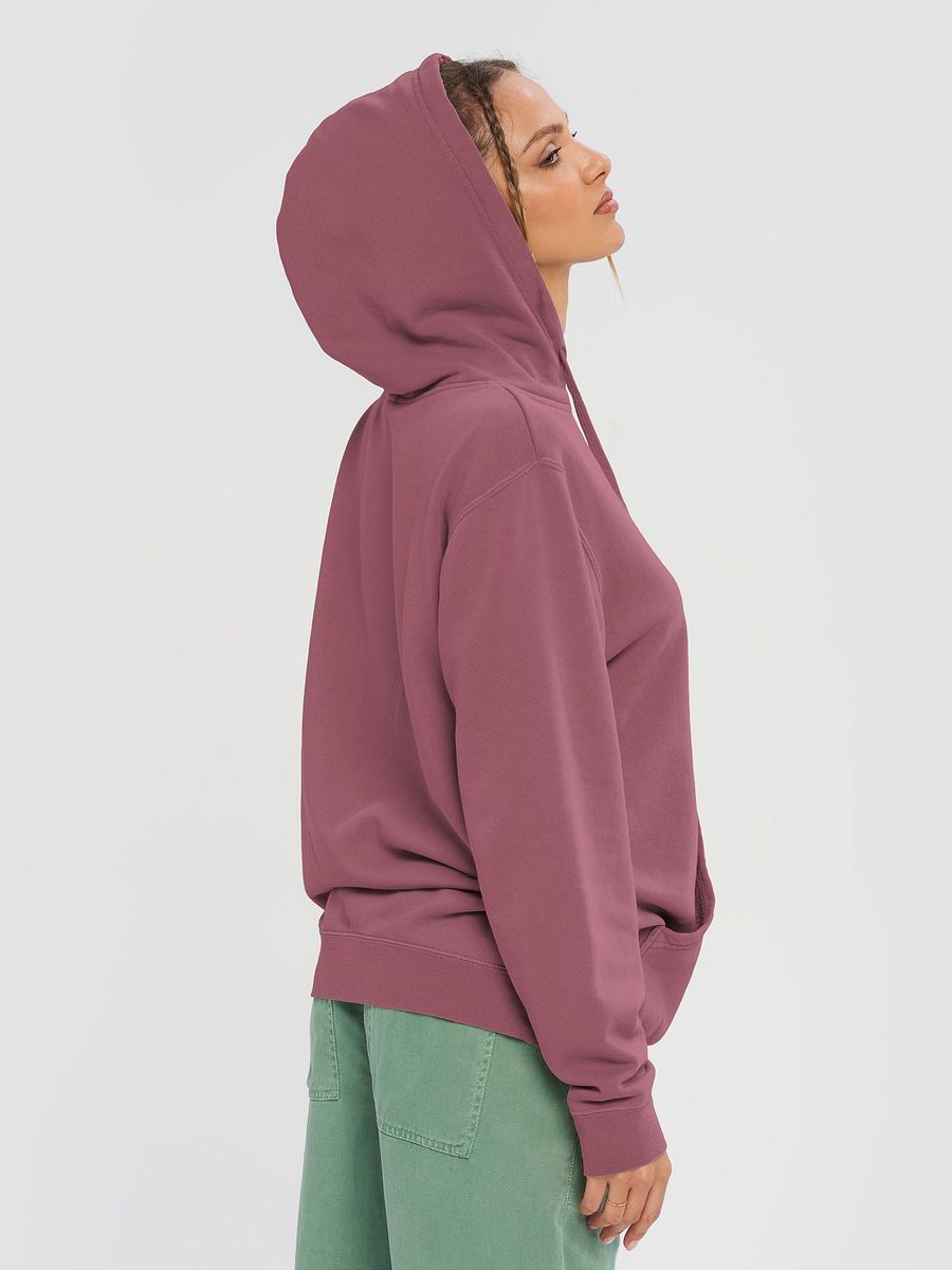 Super Premium Hoodie: Doctor pooky for universal health care product image (5)