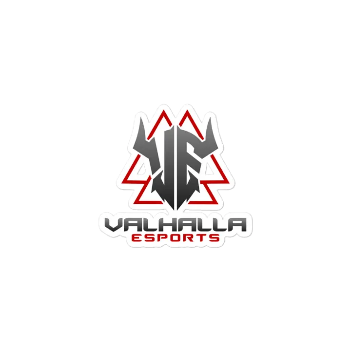 VE Magnet product image (2)
