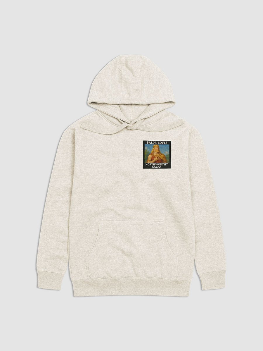 Baldr loves Northworthy Sagas hoodie! product image (4)