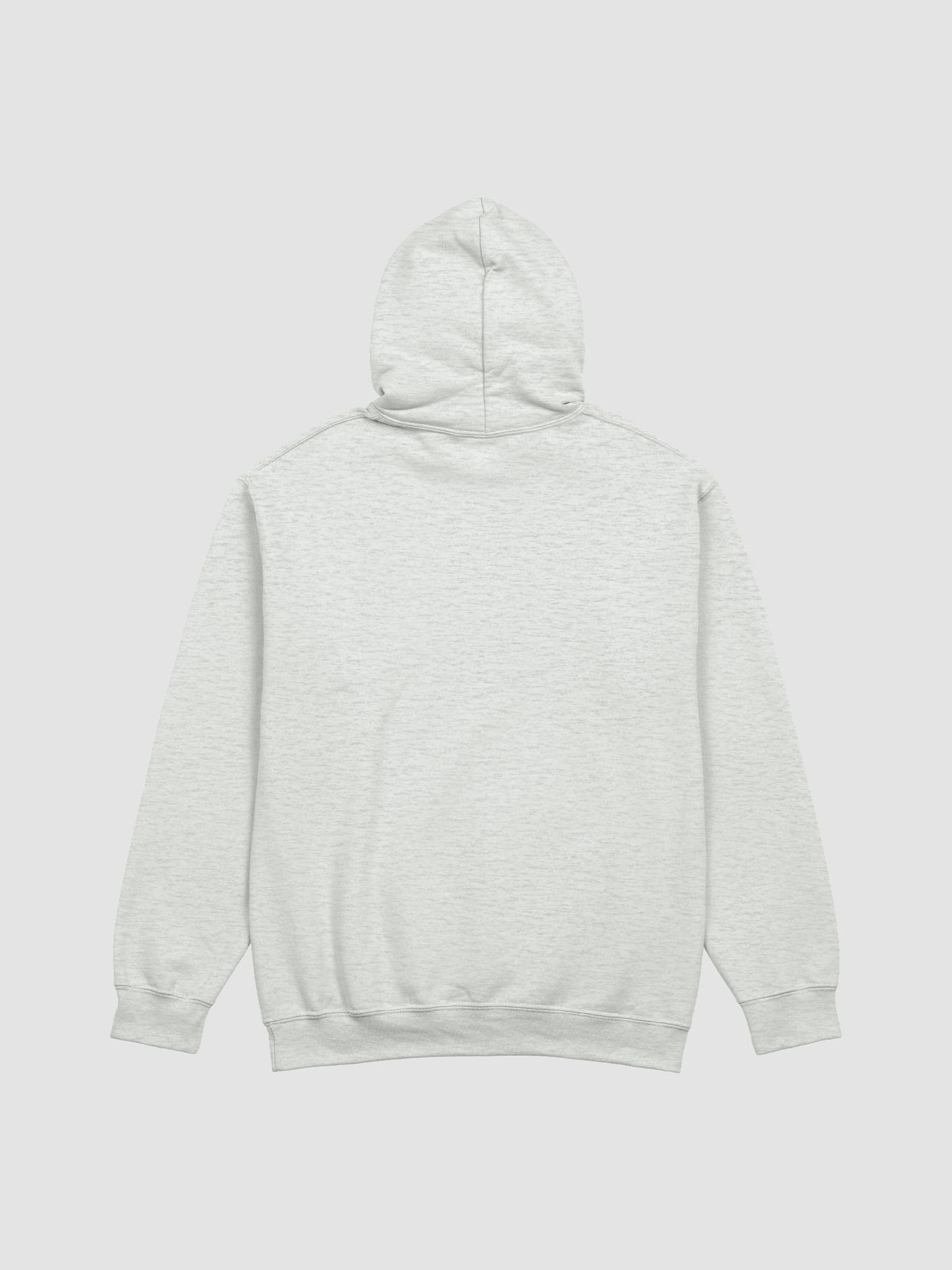 Algorand "Trust The Tech" Classic Hoodie product image (4)