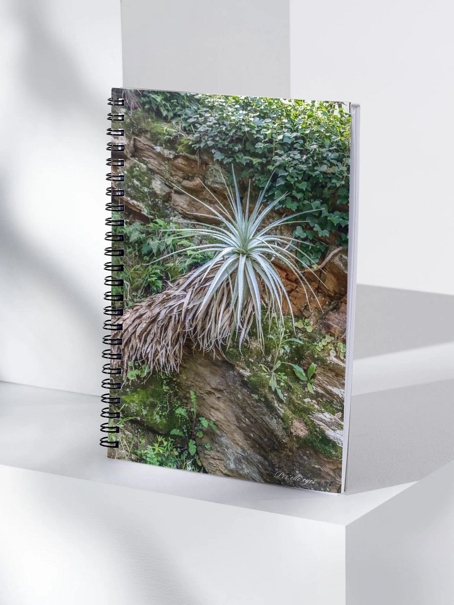 📓 Notebook Collection PURE – Jardin du Rayol – Gardienne des Roches product image (4)