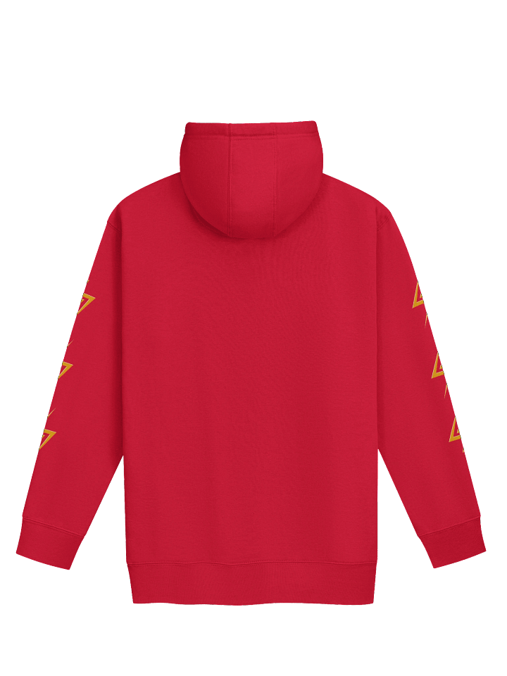 Rising Phoenix International Team Hoodie product image (8)