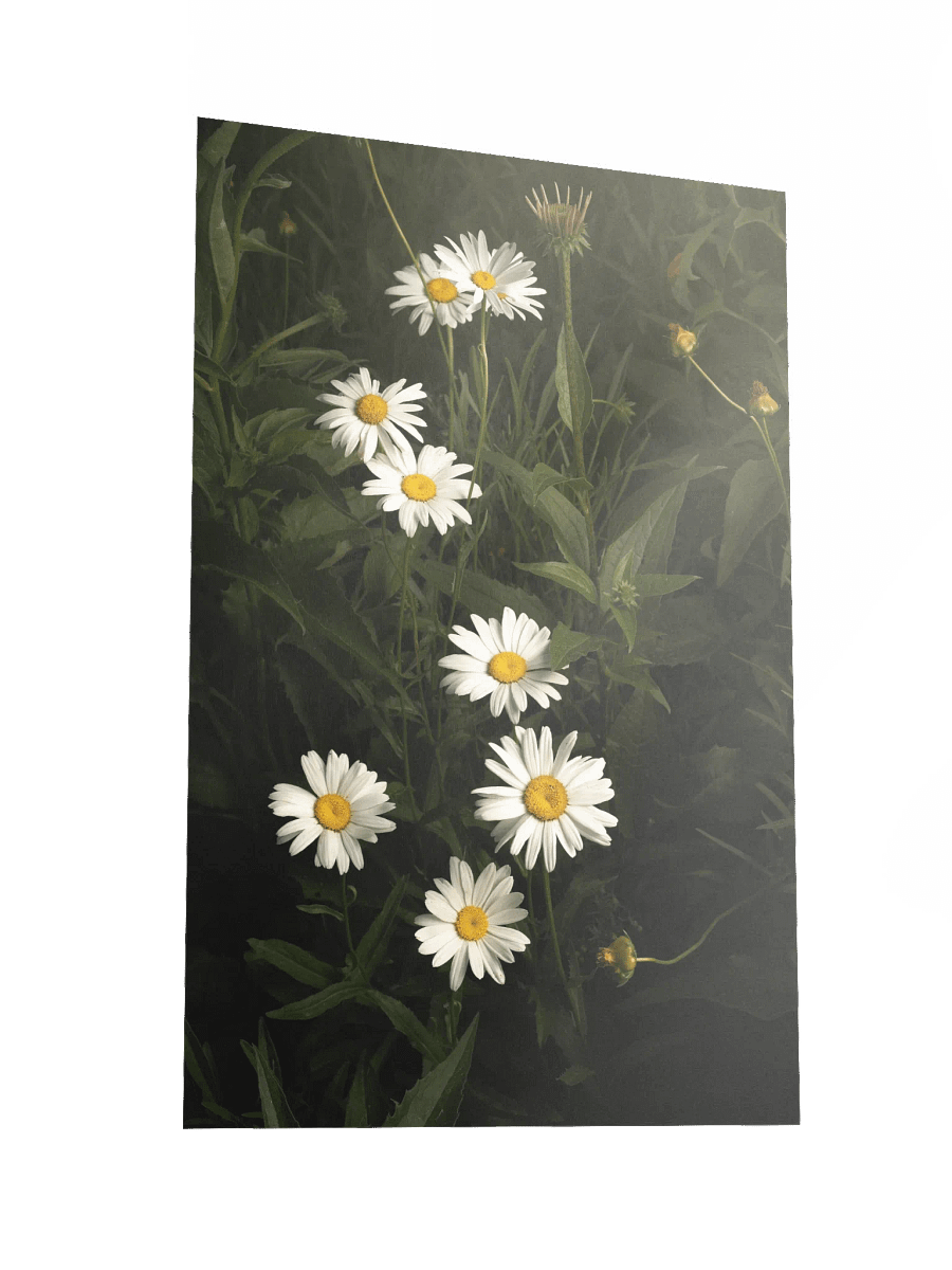 Cascading White Daisies product image (2)