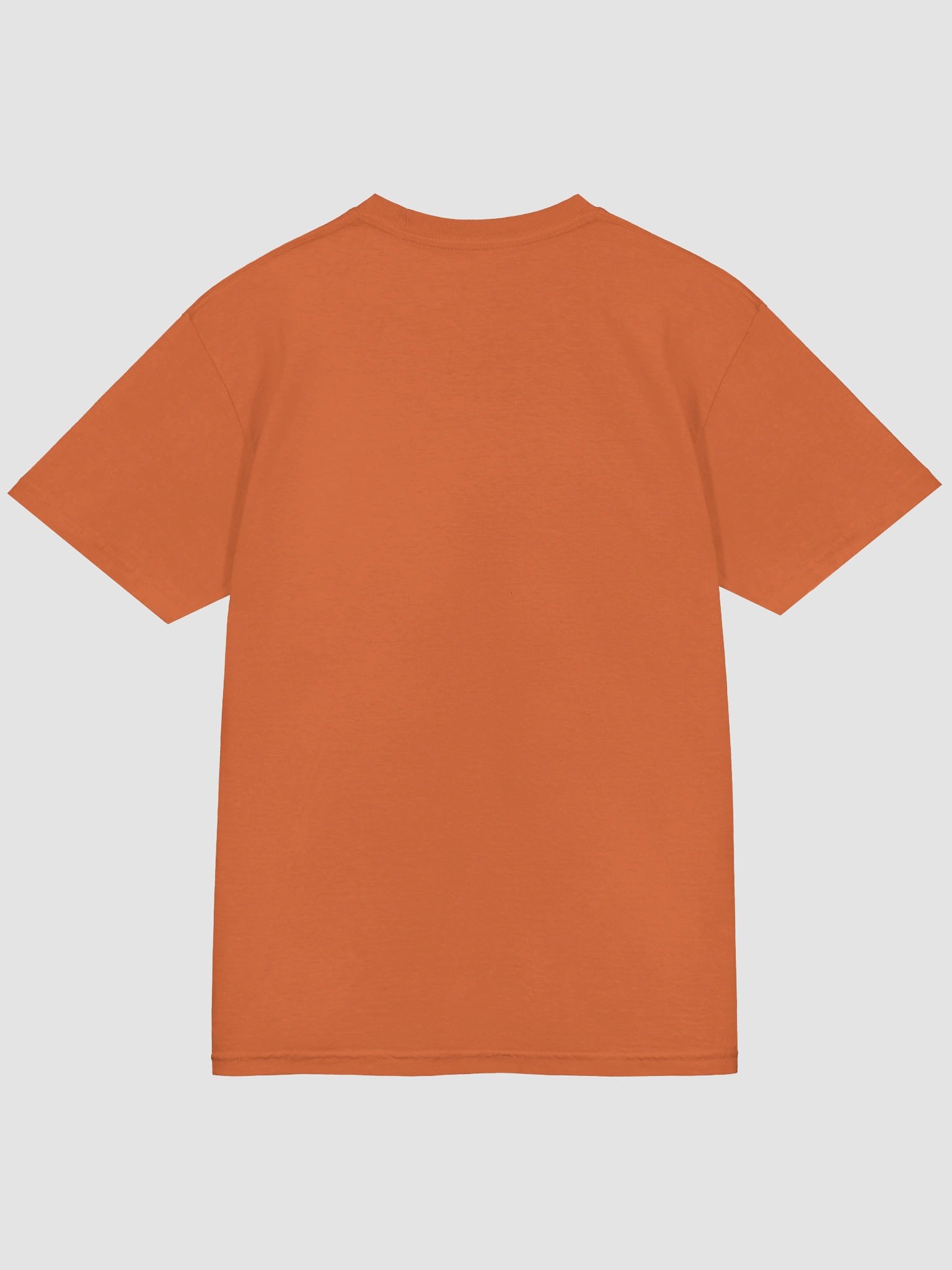 Fruity Vegetarian & Vegan Vibes T-Shirt product image (4)