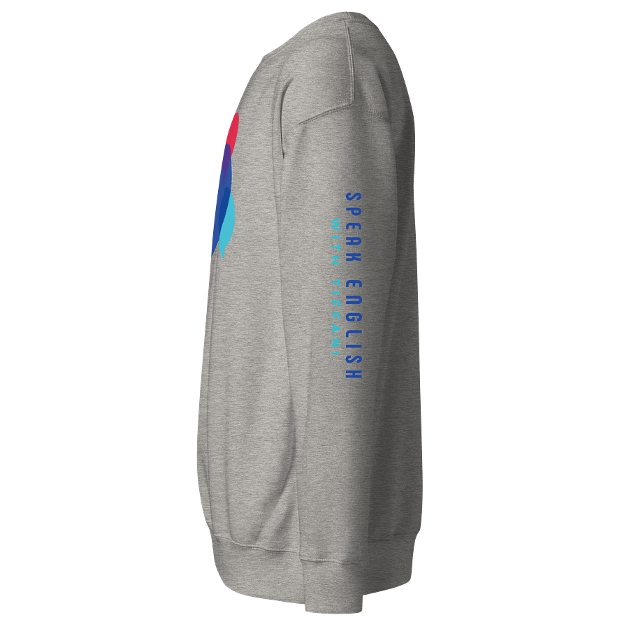The Speak English With Tiffani Logo Sweatshirt product image (6)