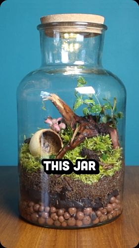 How I turned an empty jar into a slice of nature 🌿