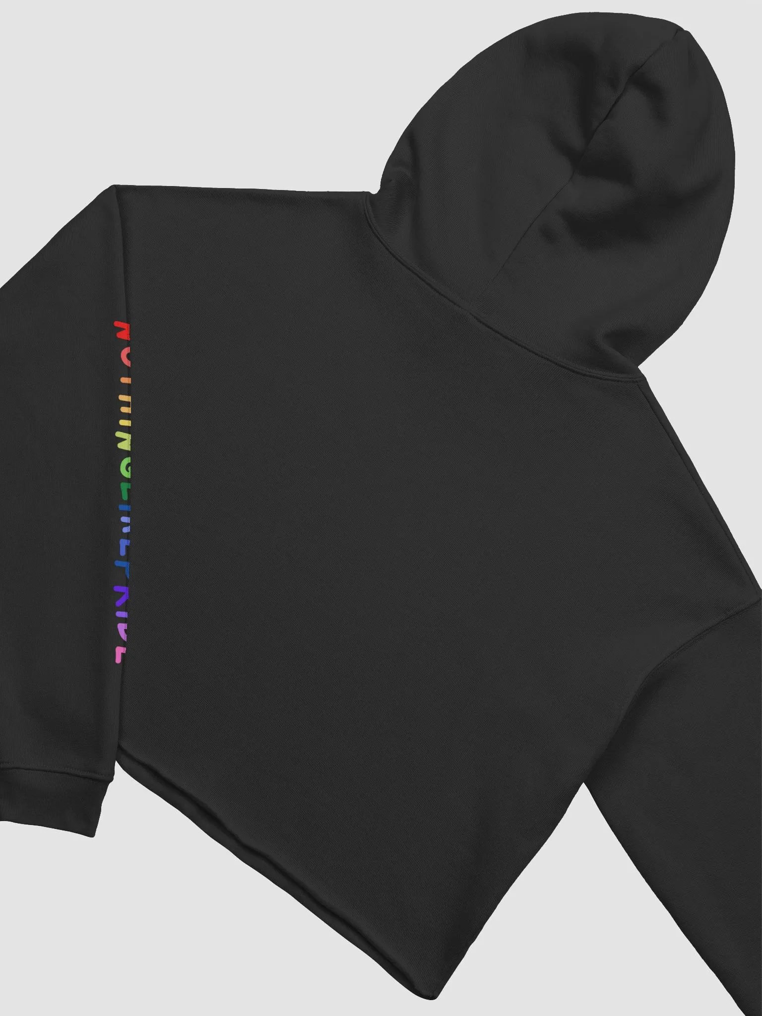 Unlabeled Pride Cropped Hoodie product image (14)