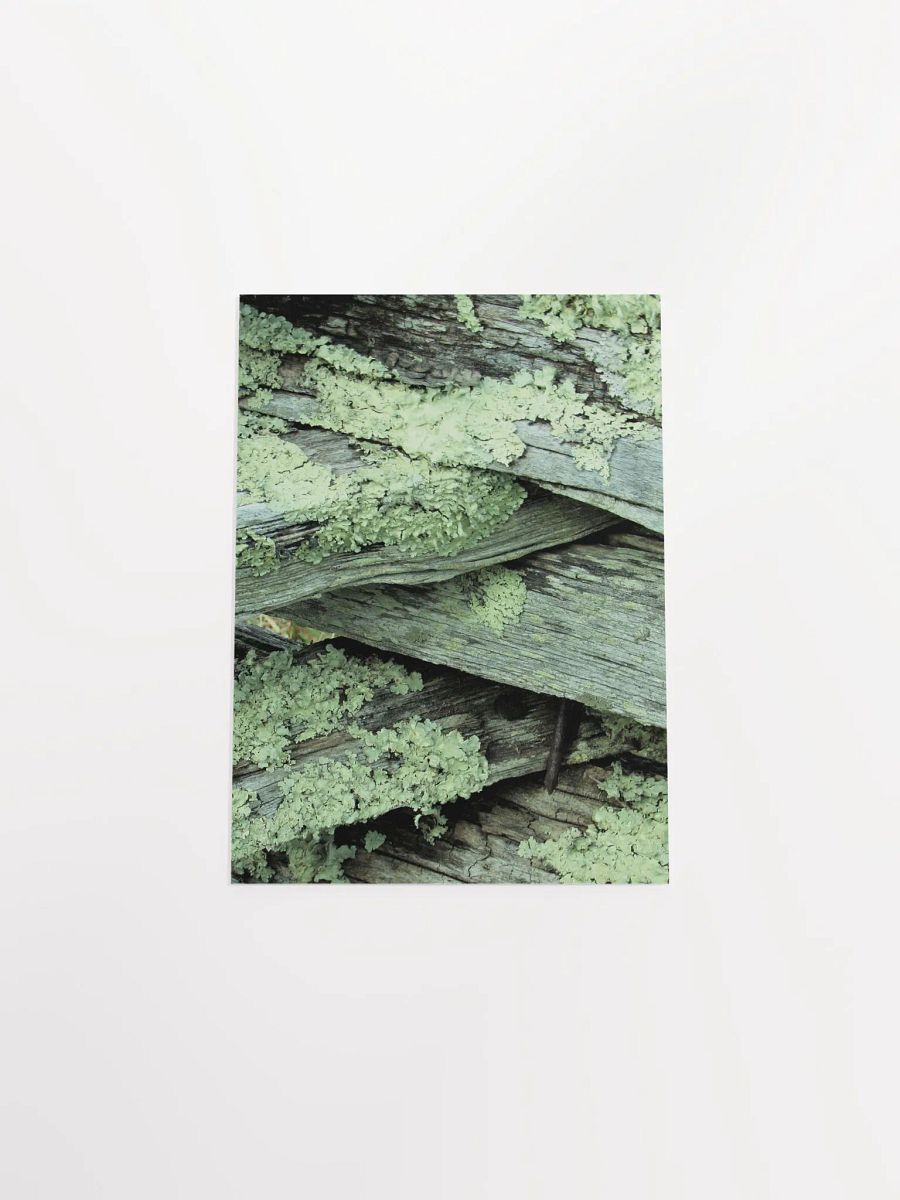 NC Moss product image (45)