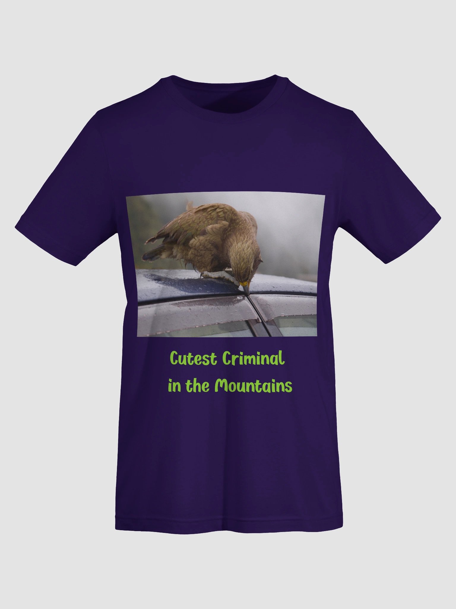 The Mischievous Parrot product image (3)