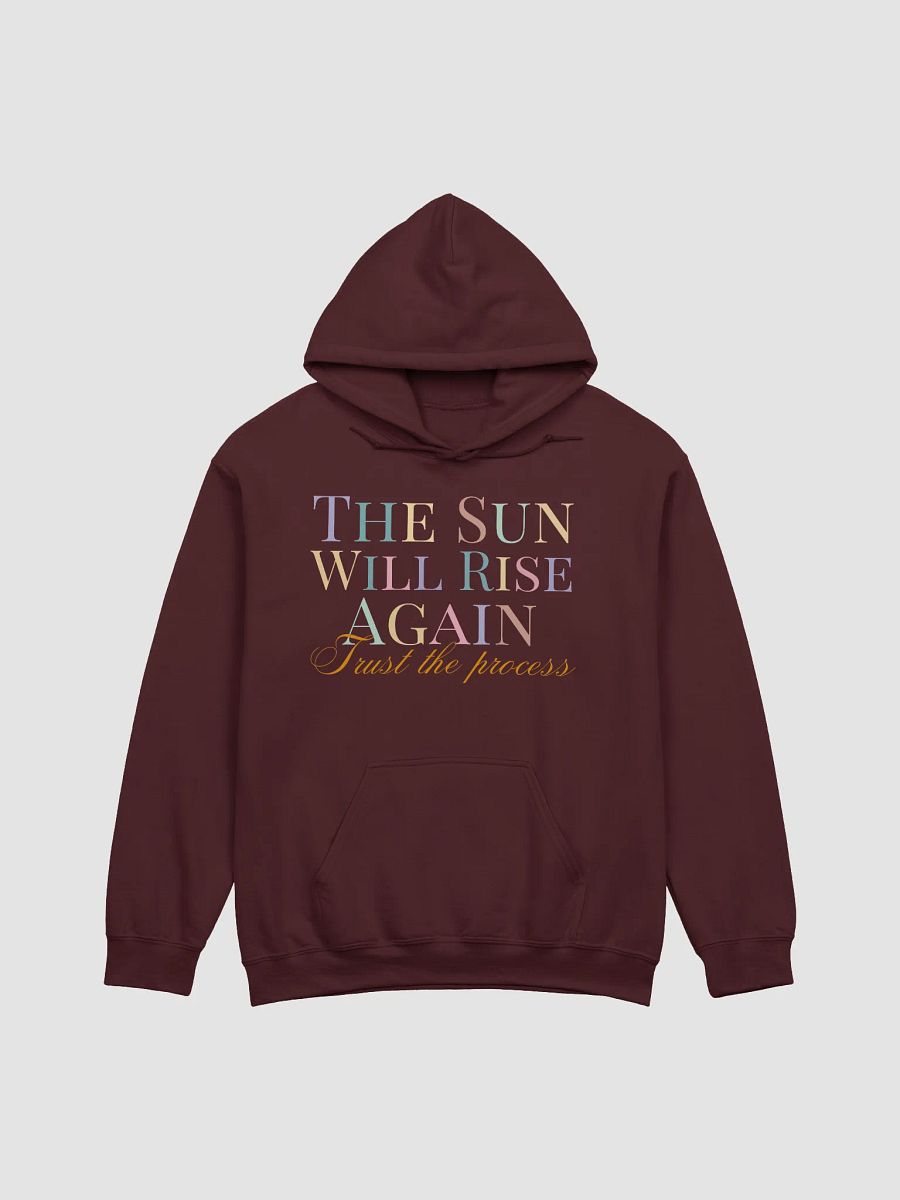 Rise Again Classic Gildan Hoodie product image (4)