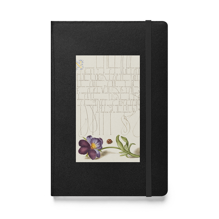 Illuminated Manuscript. Hardcover Notebook product image (1)