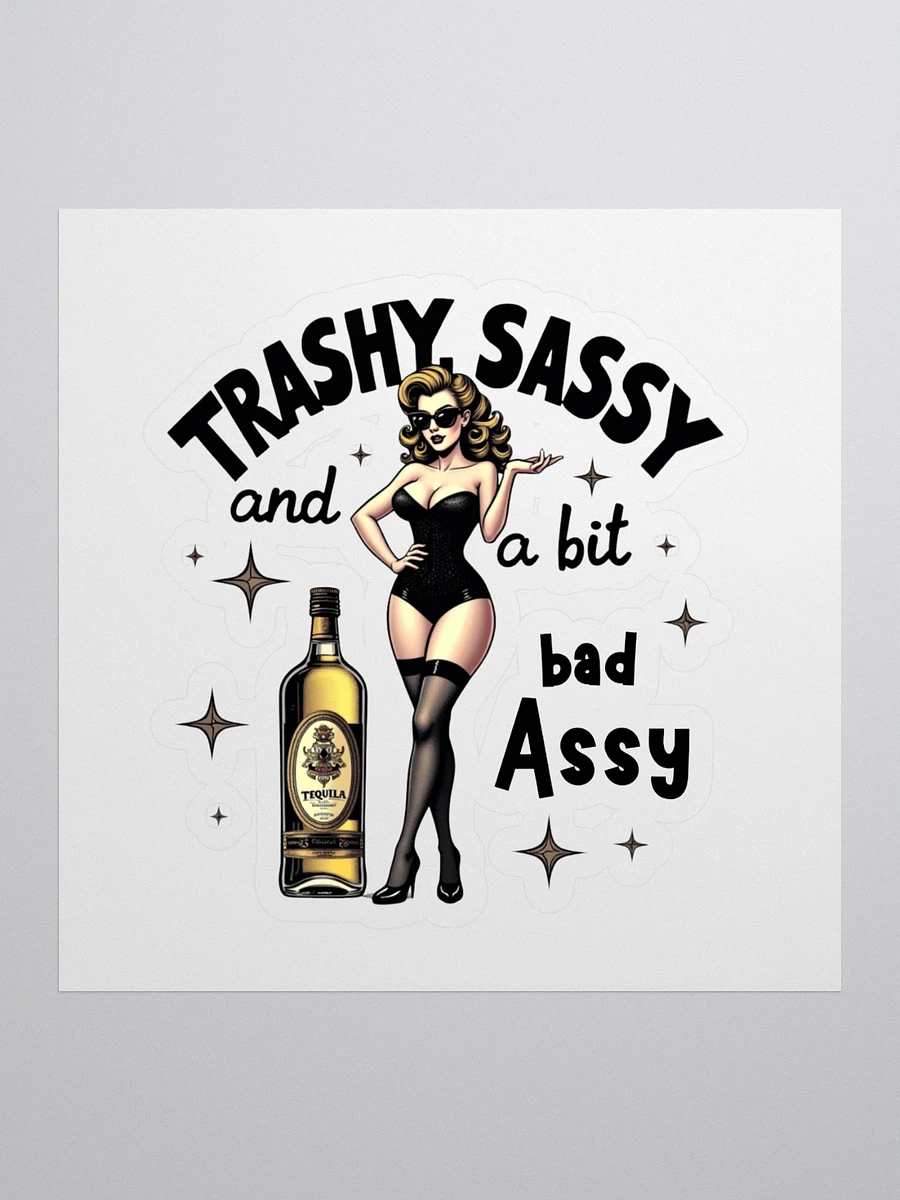 Trashy Sassy and a bit Bad Assy - Kiss Cut Vinyl Stickers product image (1)