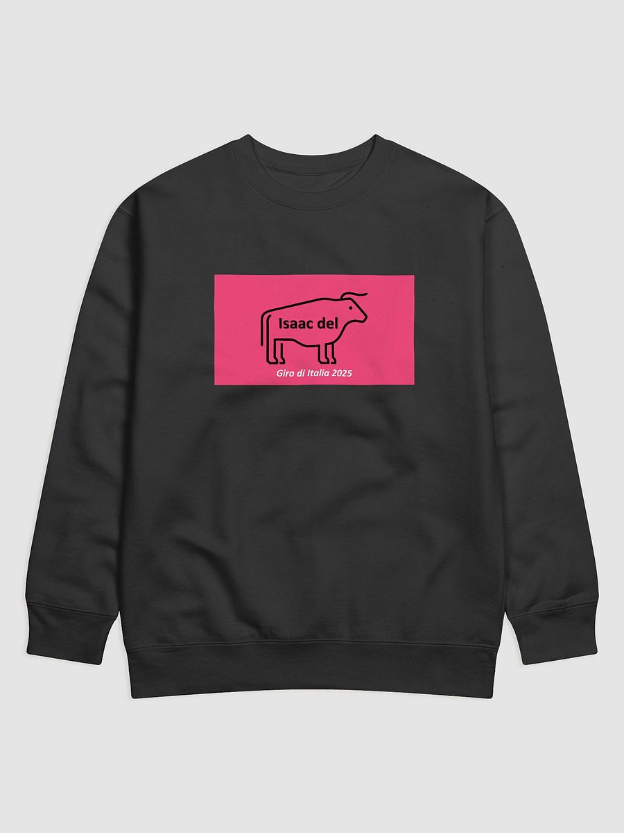 Isaac del Toro Giro di Italia 2025 product image (3)