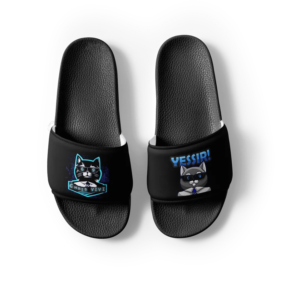 Vivi Slides product image (3)
