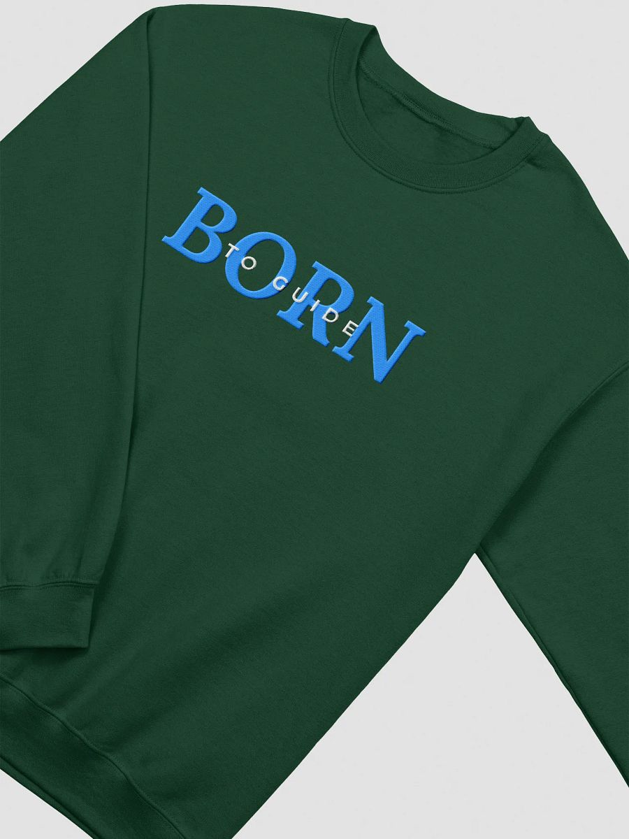 Born to Guide Projector Embroidered Sweatshirt (Blue) product image (1)