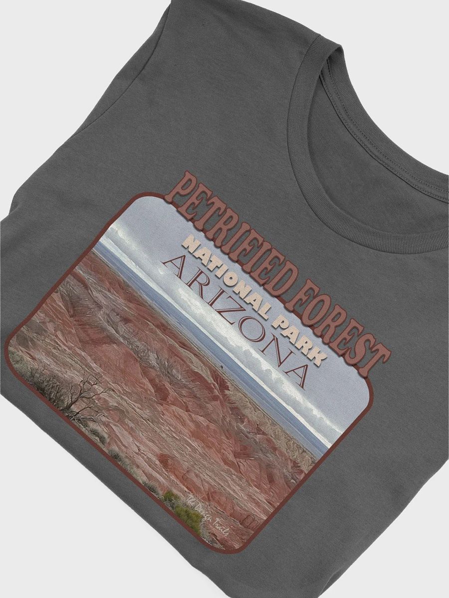 Petrified Forest National Park Tee product image (29)