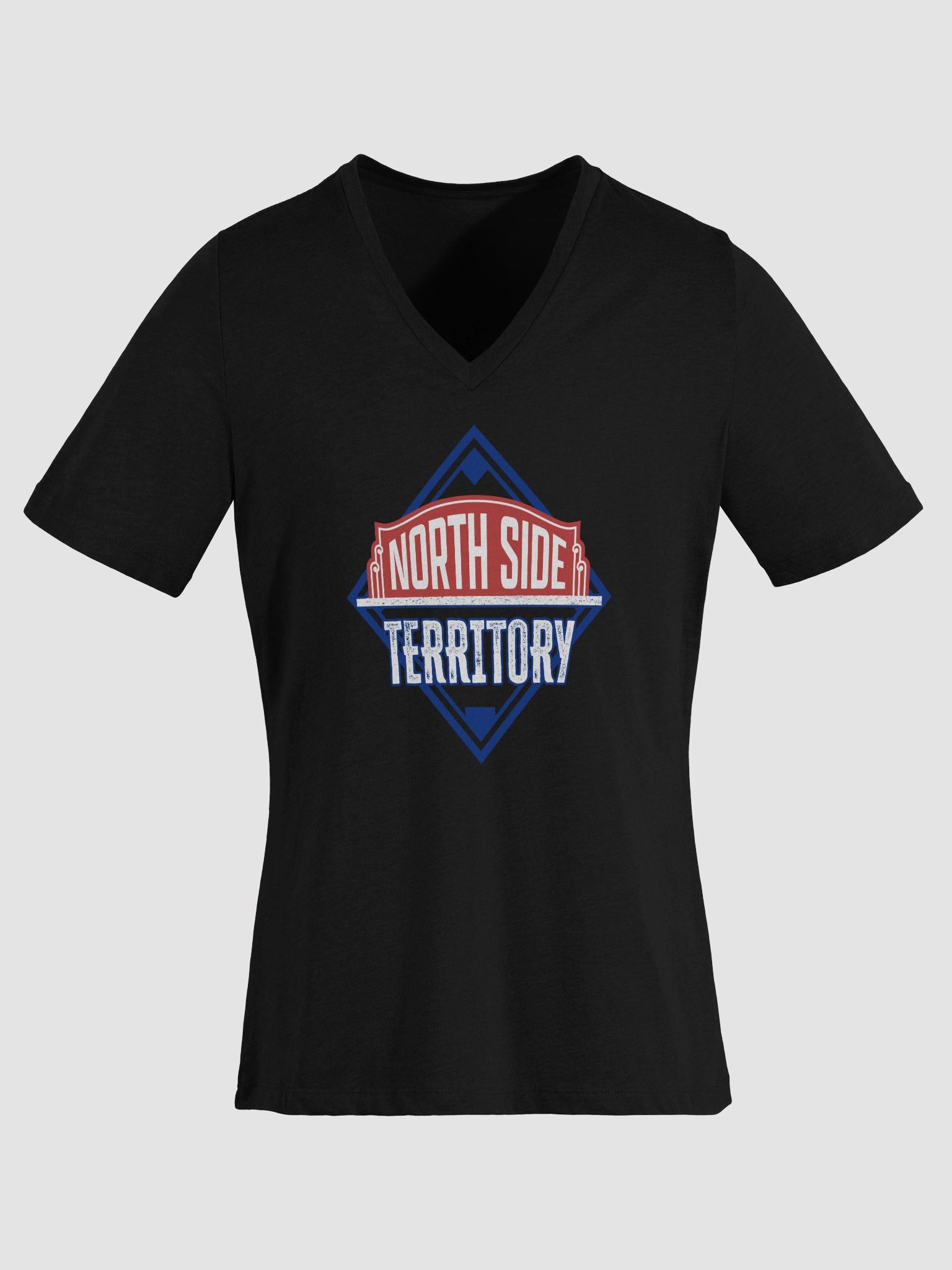 Women's V-Neck T-Shirt product image (1)