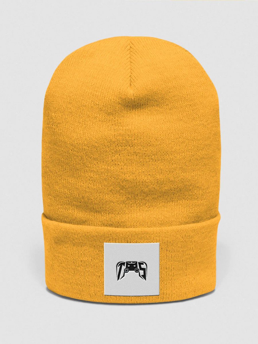 Vintage Cuffed Logo Beanie product image (16)