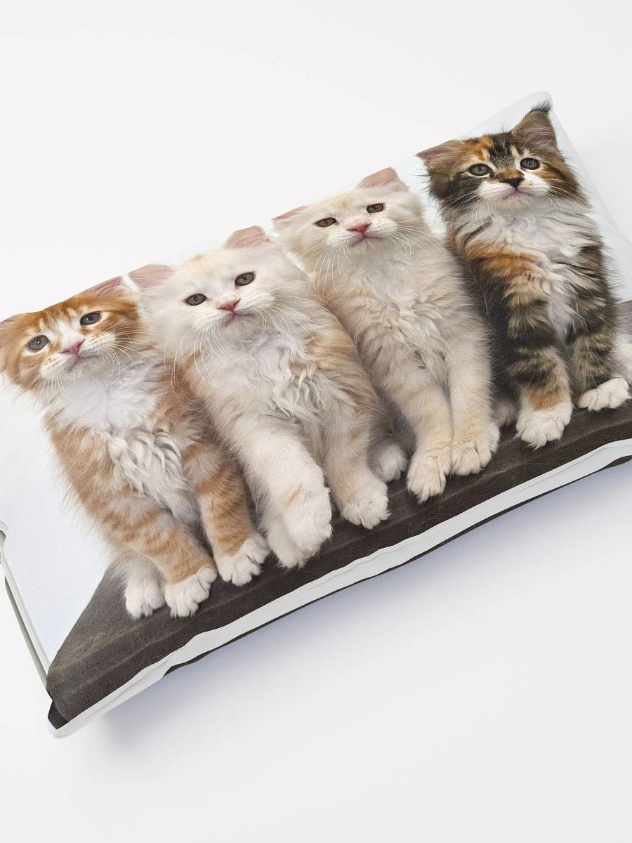 Ada's Kittens - Pillow product image (4)
