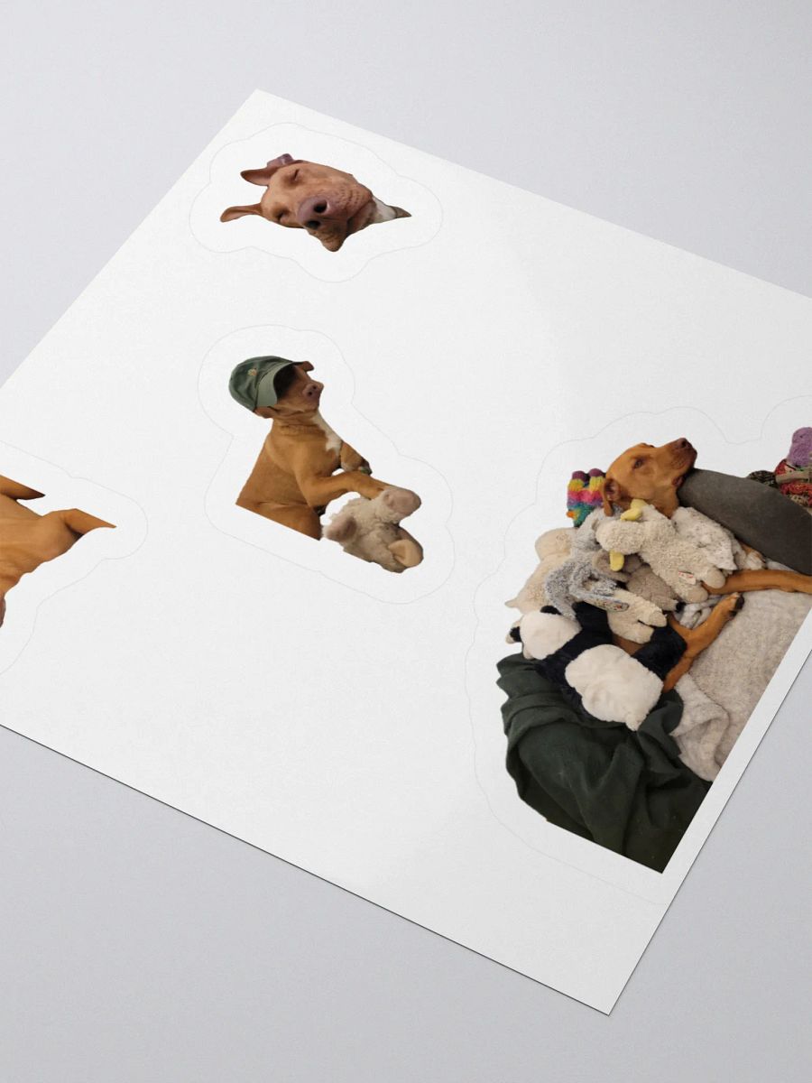 Ginger product image (3)