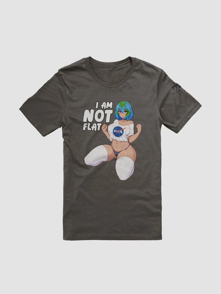 Earth is not flat product image (2)