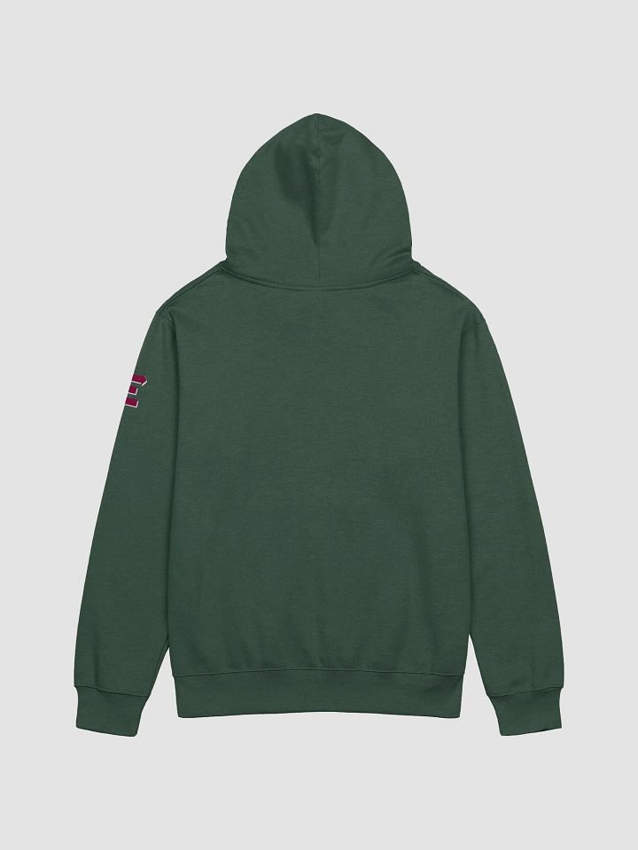 Right Down Euclid Hoodie product image (7)