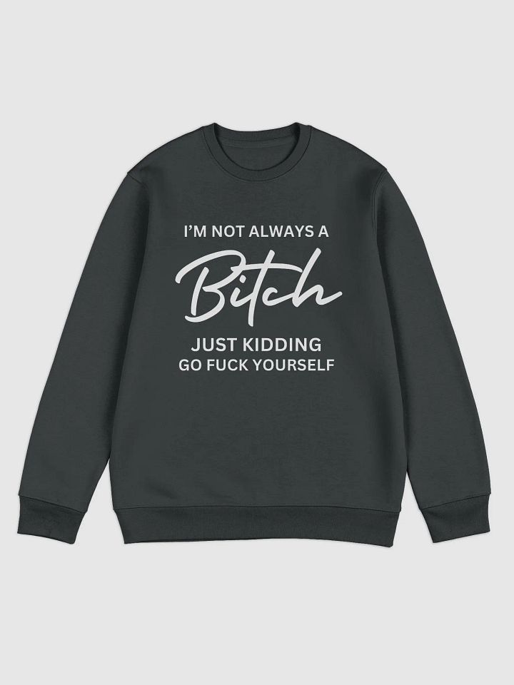 Just Kidding sweater product image (2)