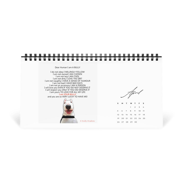 Bull Terrier- Calendar 2026 product image (1)
