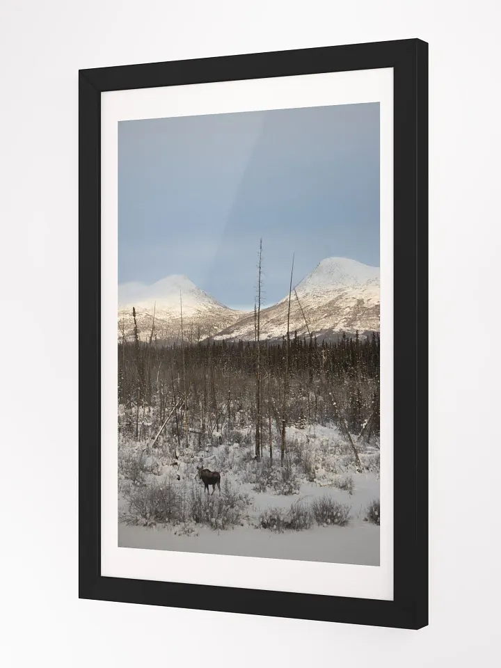 Moose and Mountains product image (2)