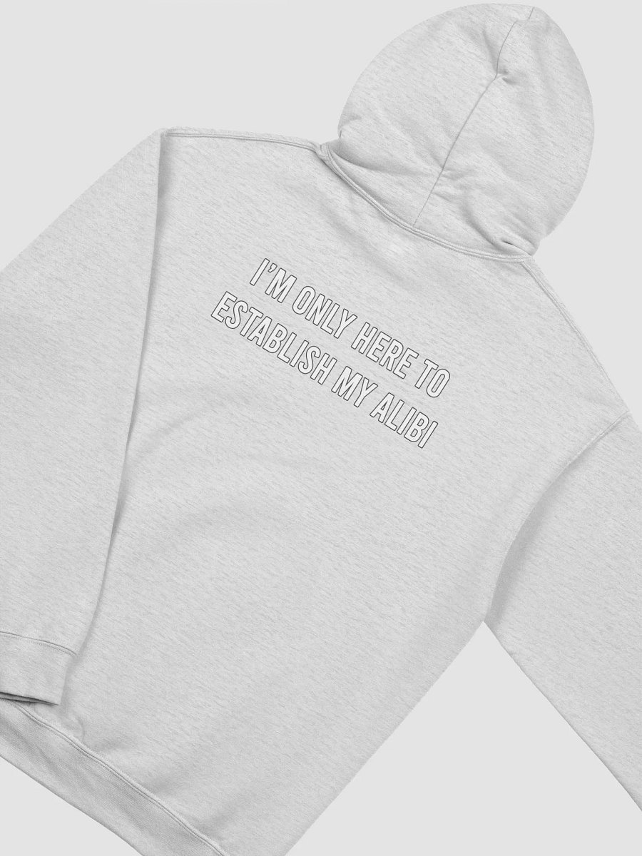 Establish My Alibi - Hoodie product image (57)
