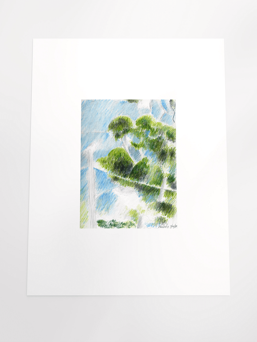 Eucalyptus 1984 print product image (5)