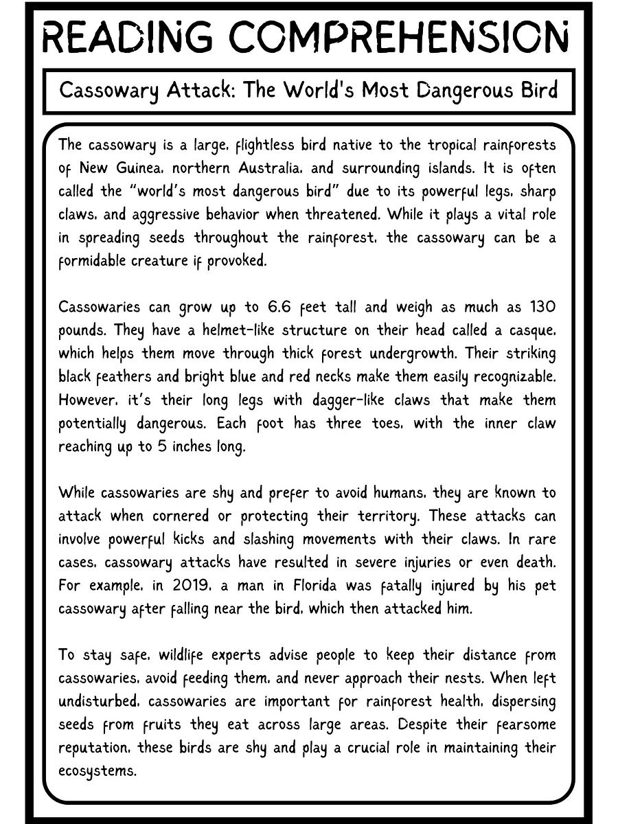 Cassowary Attack Reading Comprehension Passage PDF product image (2)