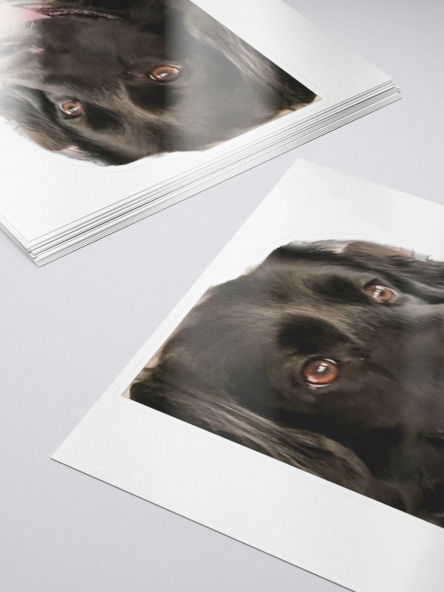 Team Duke Sticker product image (5)