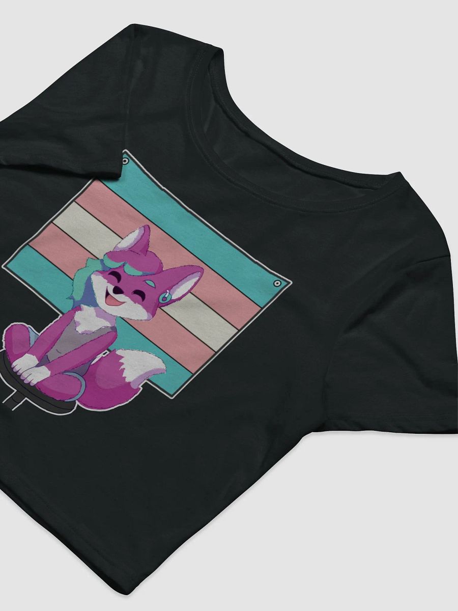 Joy the Fox Trans Crop Top product image (10)
